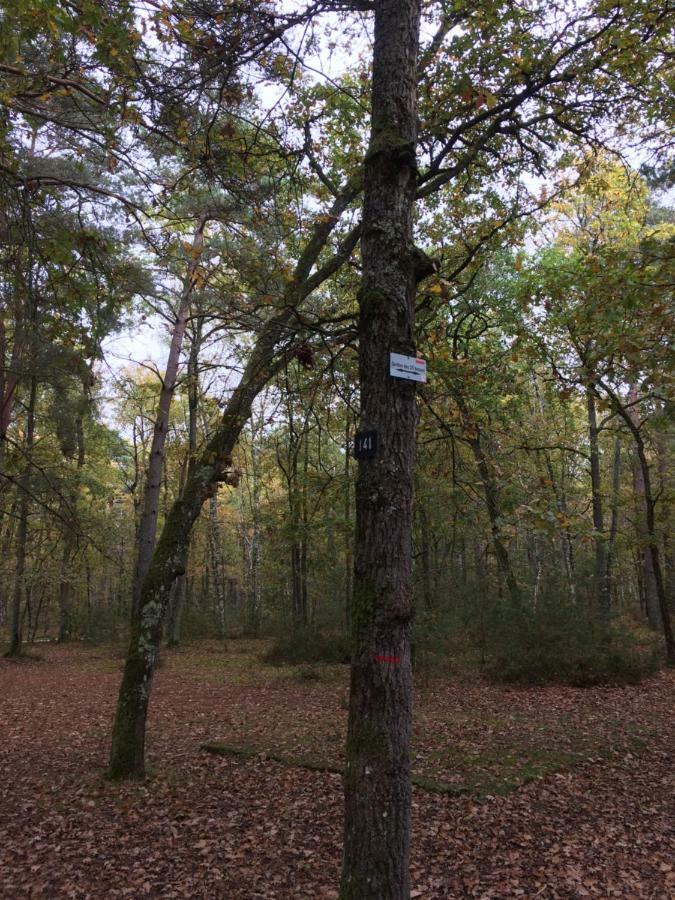 Gite Cosy Proche Fontainebleau Et Foret Villa Noisy-sur-Ecole Exterior foto